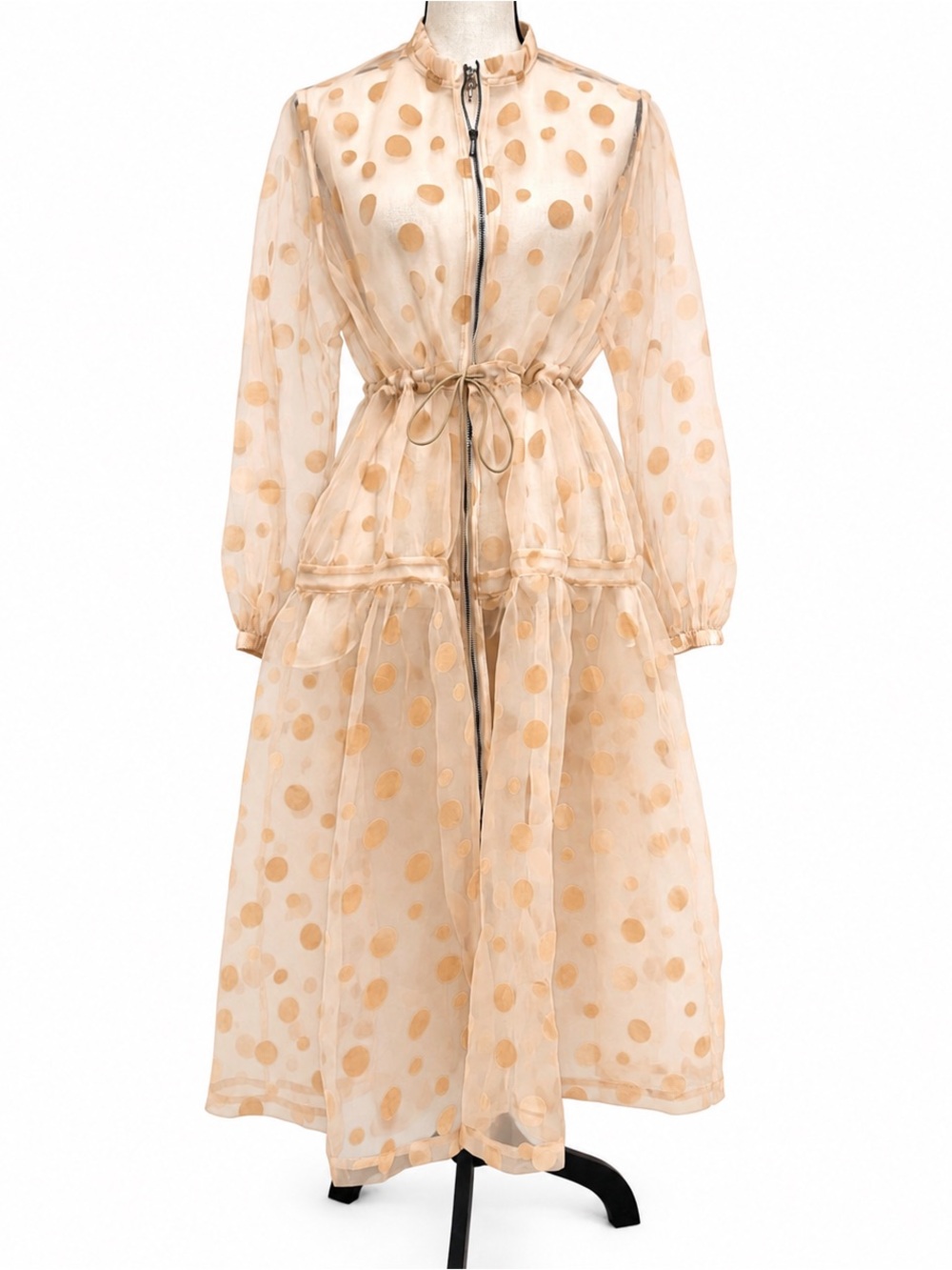 DEAR Petite - Elegant Sheer Polka Dot Dress